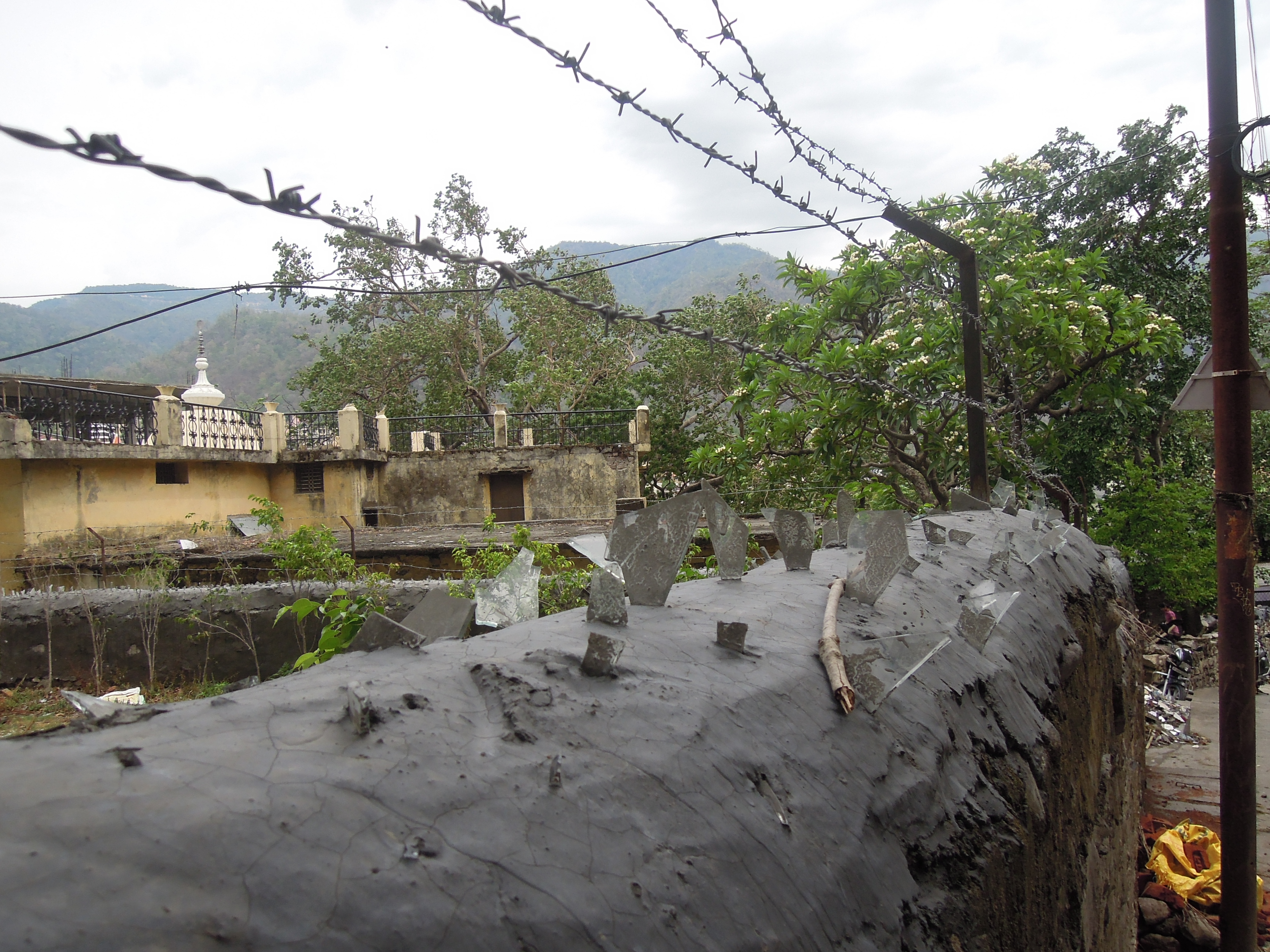 Barbed wire atop a concrete wall with trees and buildings in the background.