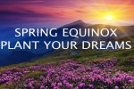 Sunrise over purple flowers with 'Spring Equinox Plant Your Dreams' text. Sunrise over purple flowers with 'Spring Equinox Plant Your Dreams' text.